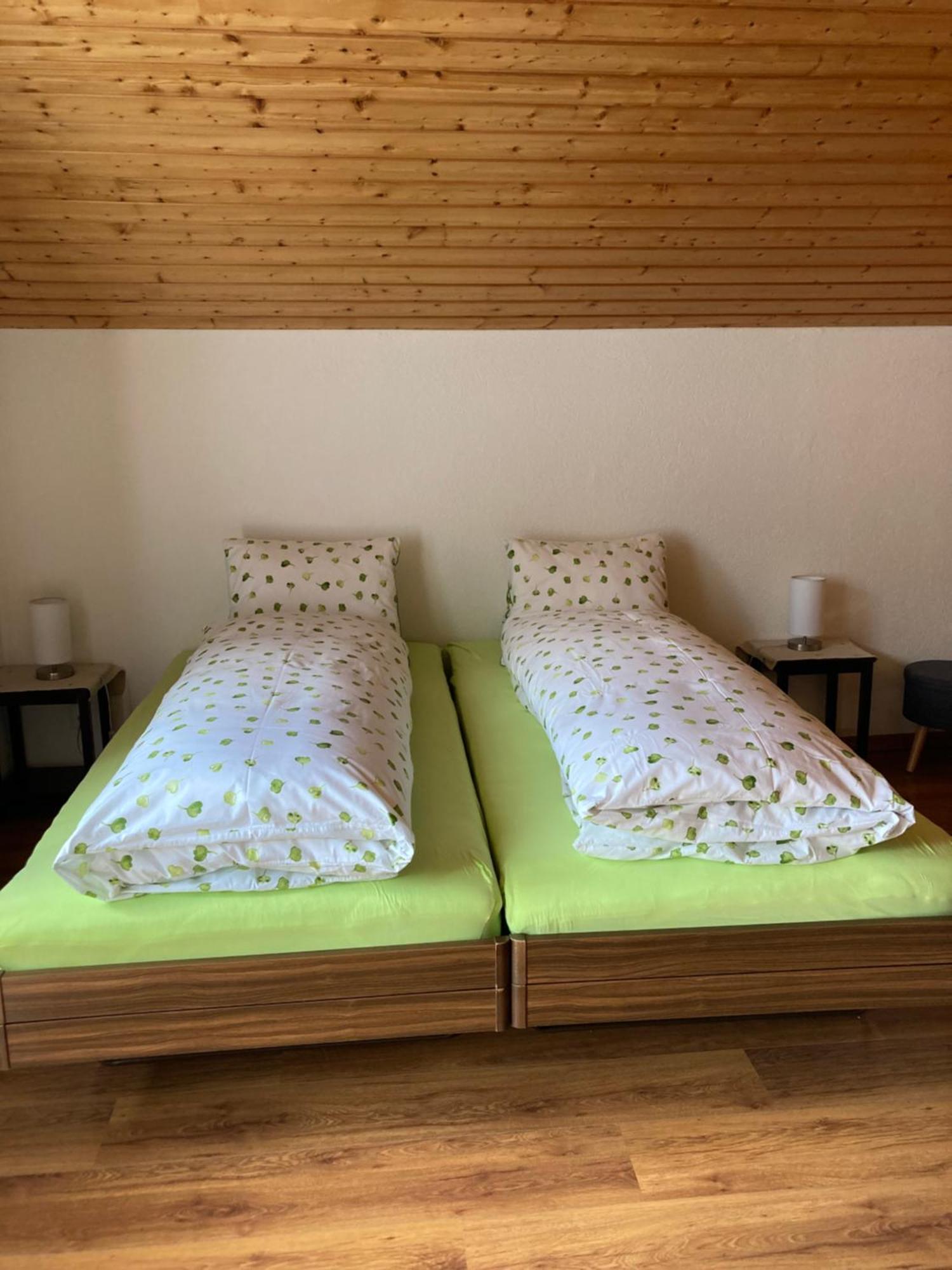 グレヘンHaus Dorfblickアパートメント エクステリア 写真