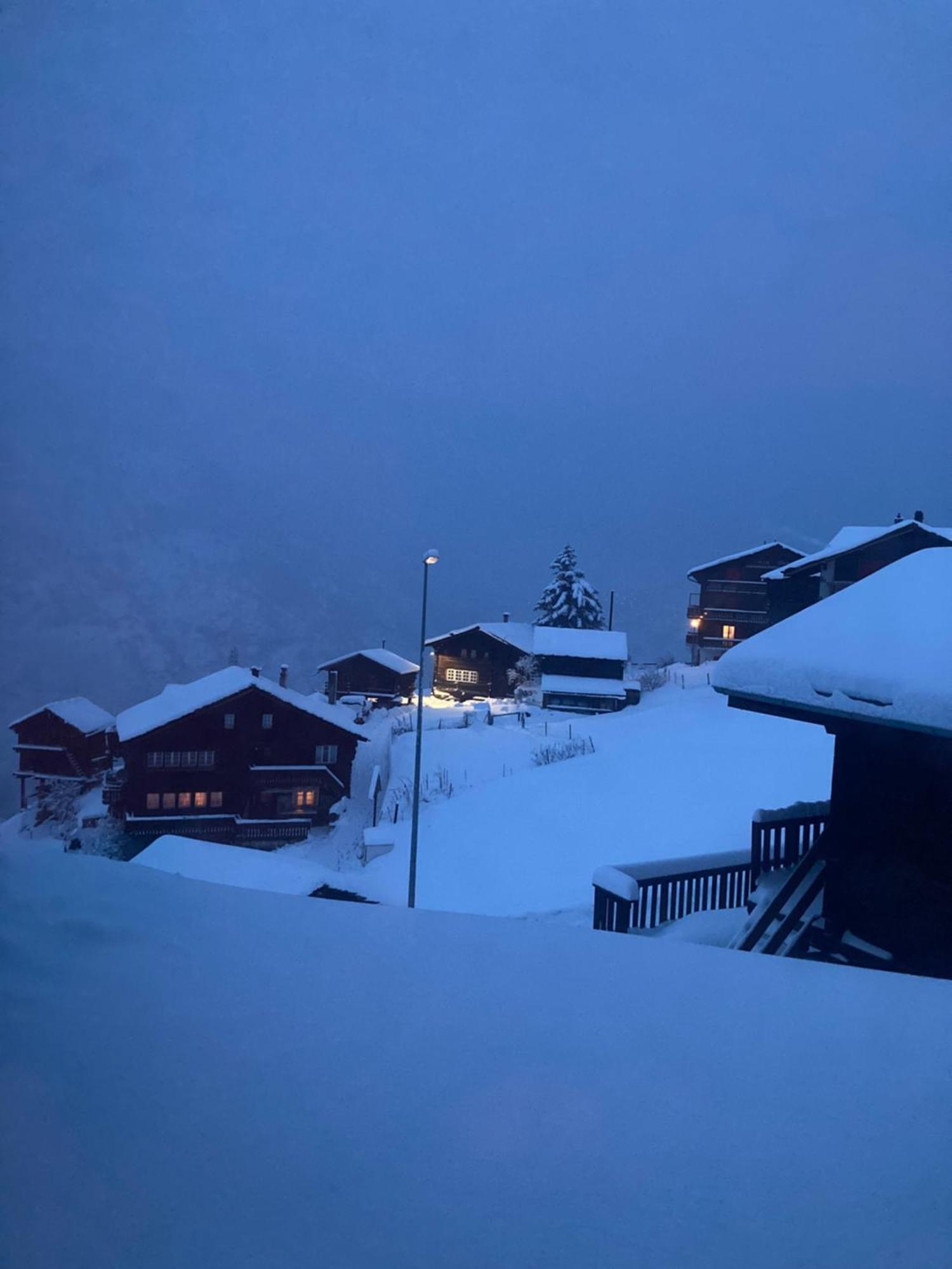 グレヘンHaus Dorfblickアパートメント エクステリア 写真